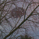 romantic-wonderland avatar