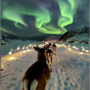 romantic6204-man avatar