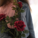 romanticaesthetic avatar