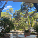 romanticamente61 avatar