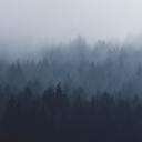 romanticnostalgia avatar