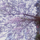 romanticserseri avatar