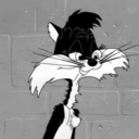 romeritodemed avatar