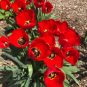 romiromiromi92 avatar