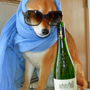 rondadoranocturna avatar