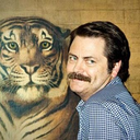 ronswanson-a-swansong avatar