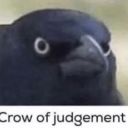 roo-roo-8ecky avatar