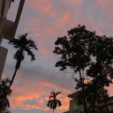 rooftopandcigarettes avatar