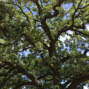 roomnumber156 avatar