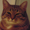 roosterteethfamily avatar