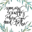 root-to-rise-blog avatar