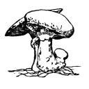 rootsandtides avatar