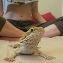 roro-the-destroyer avatar