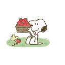 rorylovesbooks avatar