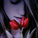 rosasilva-blog avatar