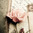 rose-at-dusk avatar