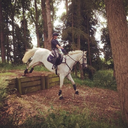 rose-evangeline avatar