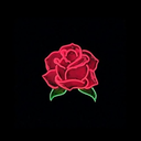 rose-fatale avatar