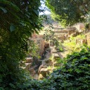 rose-in-our-blood avatar