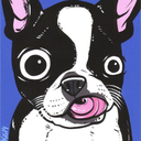 rose-n-rot avatar