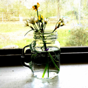 rose-risen-rise avatar