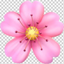 rosecoloredyke avatar