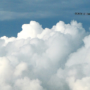 rosedgold-blog avatar