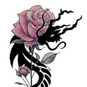 rosedraconicwitch avatar
