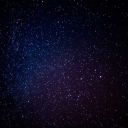 rosehipblooms-blog avatar