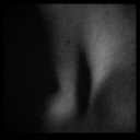 rosemary-t avatar