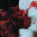rosenrot0608 avatar