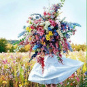 roseofonlooking avatar