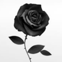 rosepedalzz-blog avatar