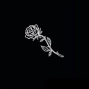 roses-andtheir-thorns avatar