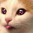 roses-are-pretty-cool avatar