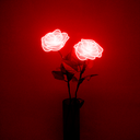 roses-cocaine-blog avatar