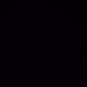 rosesandbeesandhoney avatar