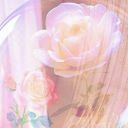 rosesandcandy avatar