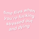 rosesfanfiction avatar