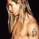 rosesforzeppelin avatar