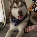 rosesinbloom18 avatar