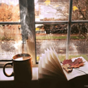 roseslovedreams avatar