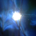 rosesname-blog avatar