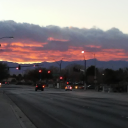 rosetintedhell avatar