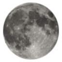 rosetintmywrrld-blog avatar