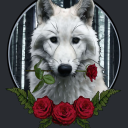 rosewolf2019 avatar