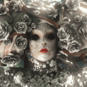 rosewoodrambler avatar