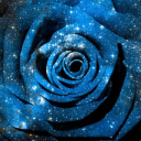 rosieblogstuff avatar