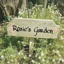 rosiesflowerpatch avatar