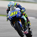 rossi-hayden-469 avatar